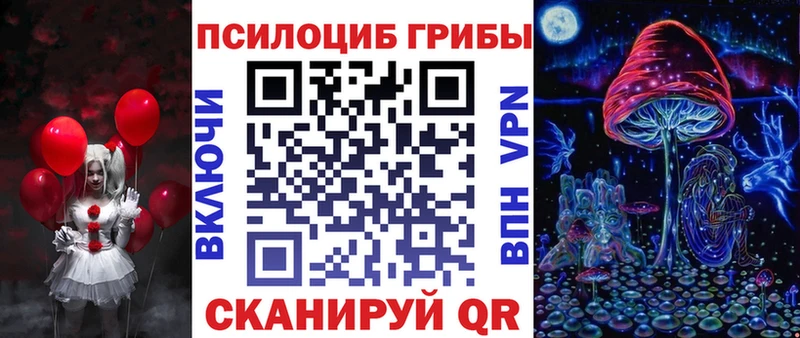 где продают наркотики  Борзя  Галлюциногенные грибы Psilocybine cubensis 
